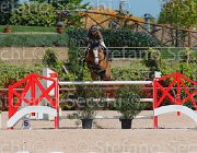 COATA S CANNAVARO CampITA2013- S5 0104 : CANNAVARO 17, COATA SIMNONE, Campionati Italiani 2013, Cattolica, Horse Riviera Resort, foto di Stefano Secchi ©